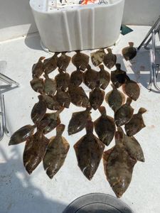 Early June flounder Fishing